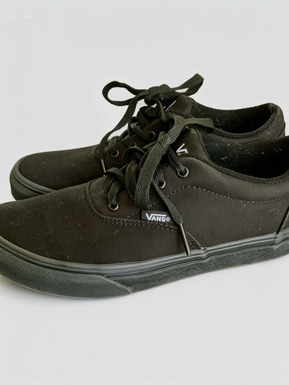 Vans Men's Black Low-Top Canvas Sneakers